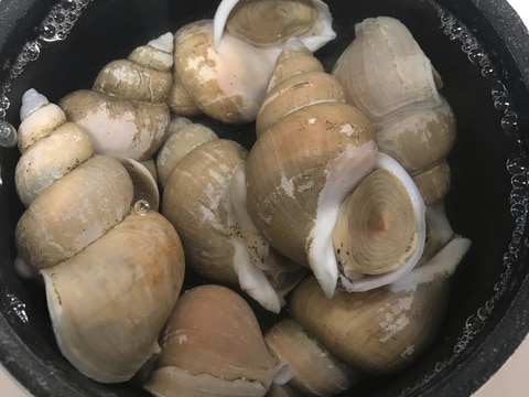 白バイ貝の茹で方 レシピ 作り方 By You花凛 楽天レシピ 白バイ貝の茹で方 レシピ 作り方 By You花凛 楽天レシピ